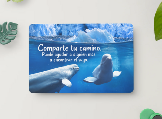 Belugas – Comparte tu camino. Puede ayudar a alguien más a encontrar el suyo – Imán