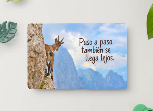 Cabra montés – Paso a paso también se llega lejos – Imán