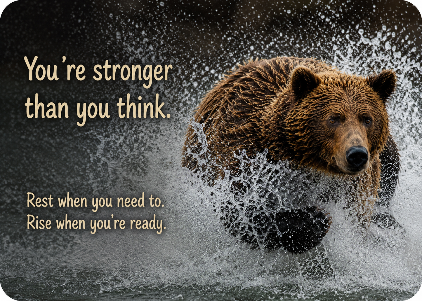 Grief Tuckaway Cards™ Bear Splash