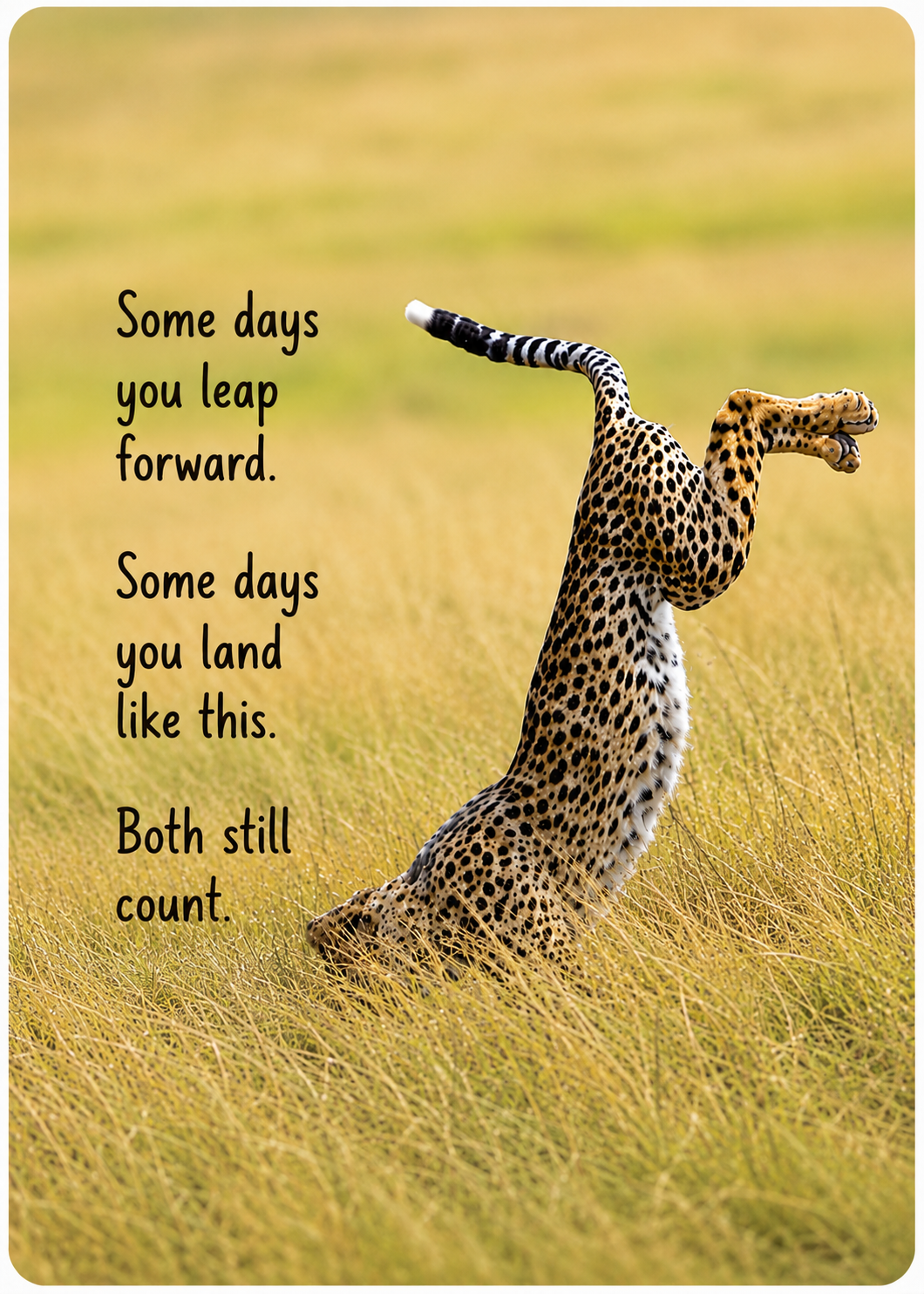 Grief Buddy Cards™ Leopard Crash