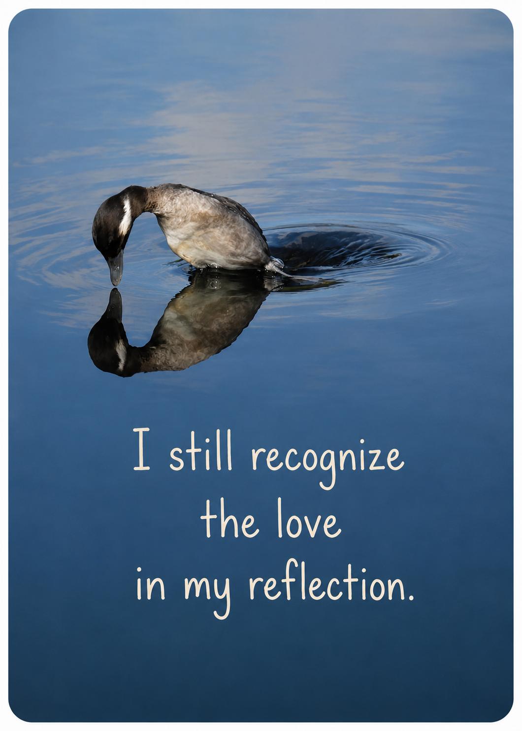 Grief Tuckaway Cards™ Duck Reflection