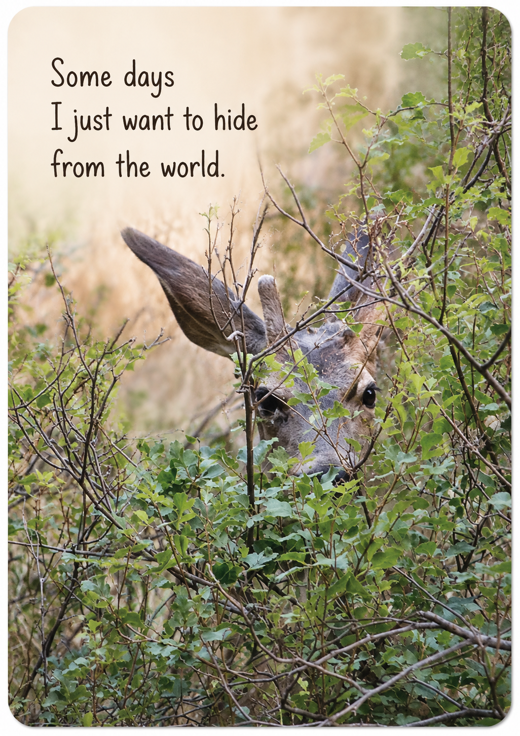 Grief Tuckaway Cards™ Hiding Deer
