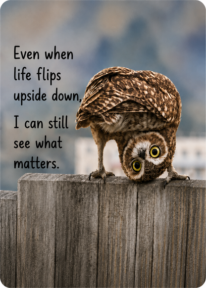 Grief Buddy Cards™ Upside Down Owl