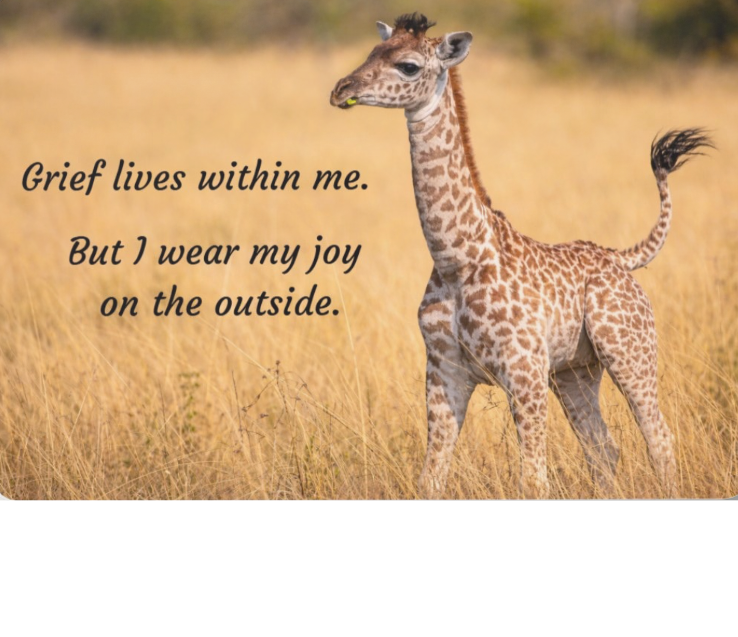 Playful Giraffe Magnet