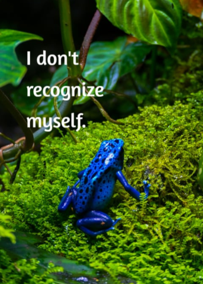 Grief Tuckaways Cards™ Blue Frog