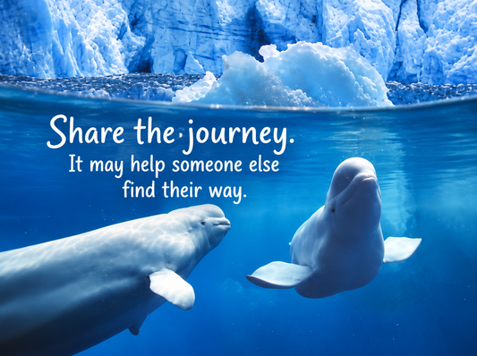 Beluga Whales – Share Your Journey – Magnet