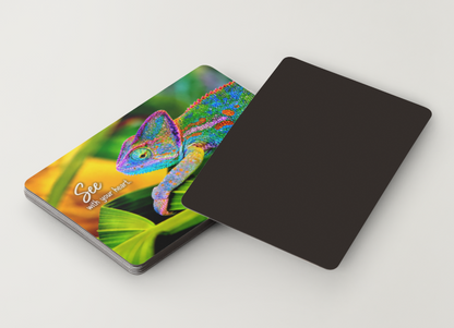 Chameleon – See With Your Heart – Magnet