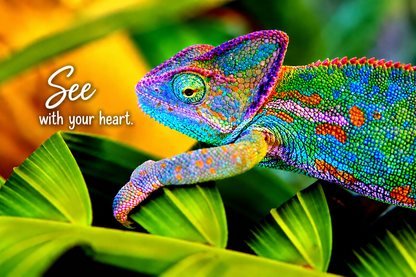 Chameleon – See With Your Heart – Magnet