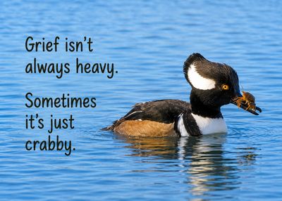 Grief Buddy Cards™ Crabby Duck