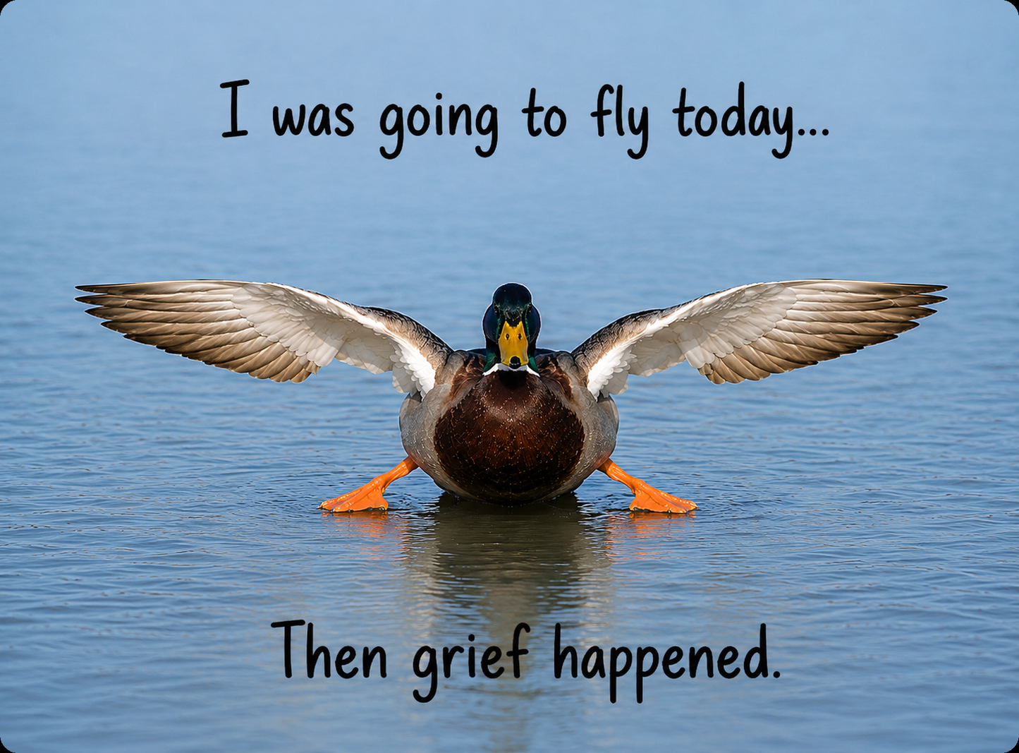 Grief Buddy Cards™ Sitting Duck