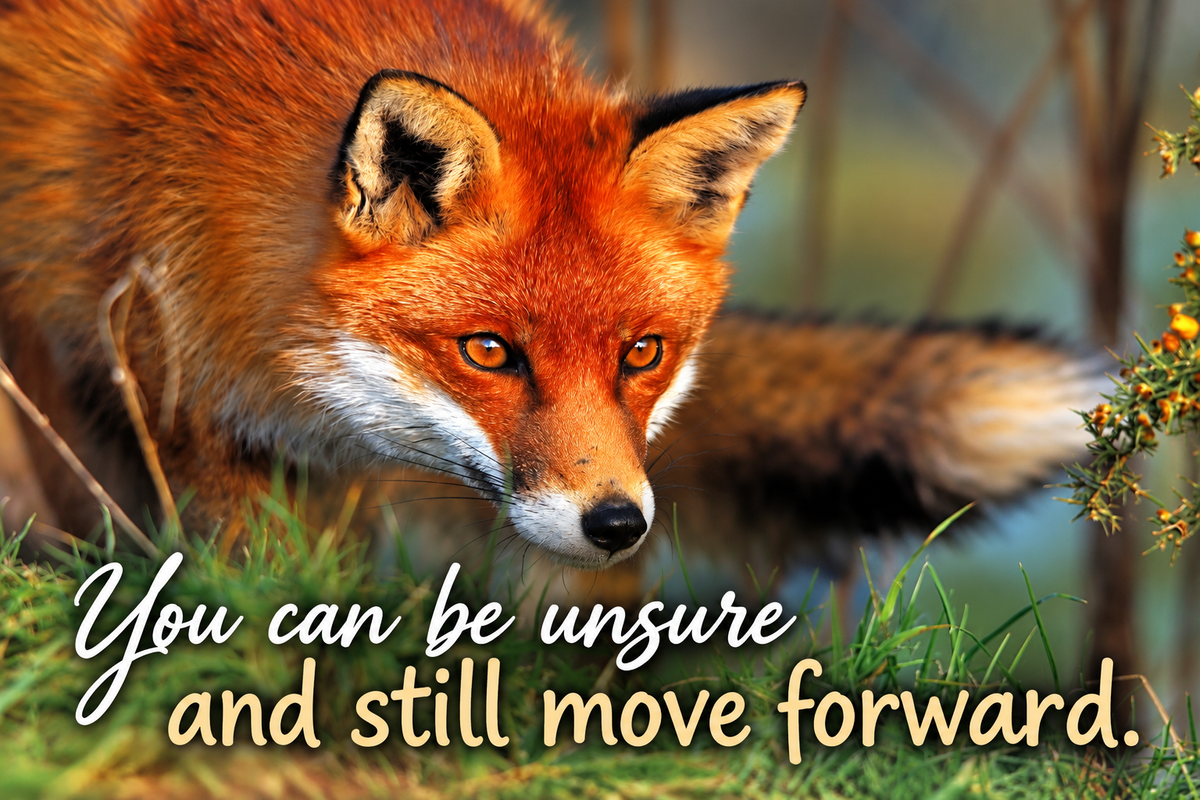 Fox – You Can Be Unsure and Still Move Forward – Magnet