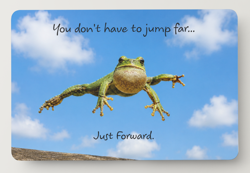 Jumping Frog Magnet