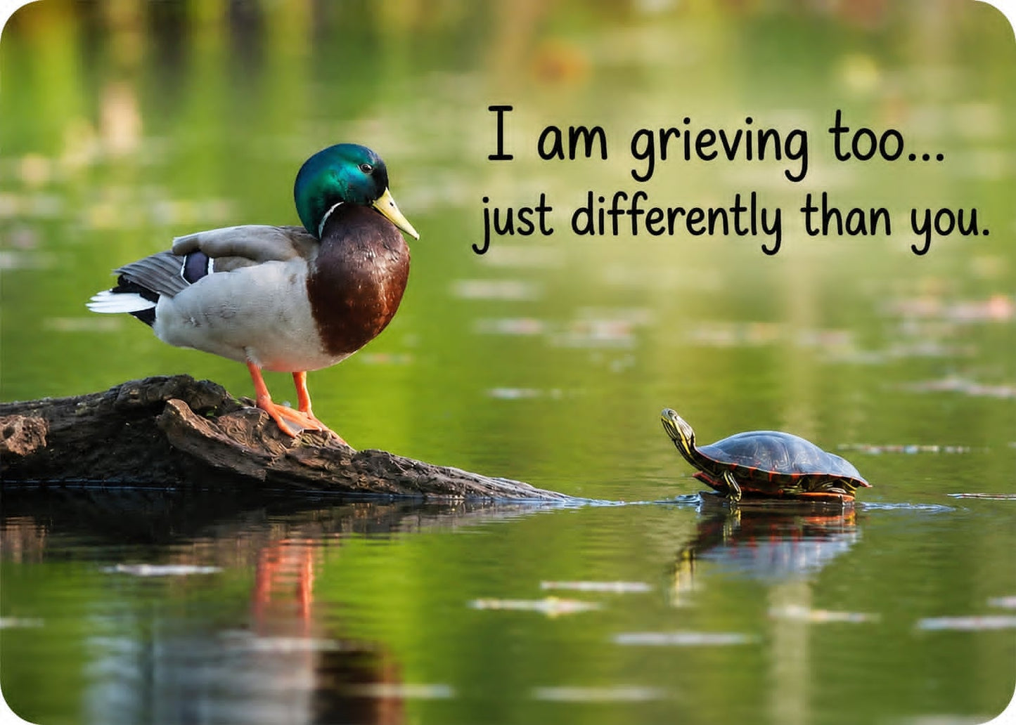 Grief Buddy Cards™ Duck & Turtle