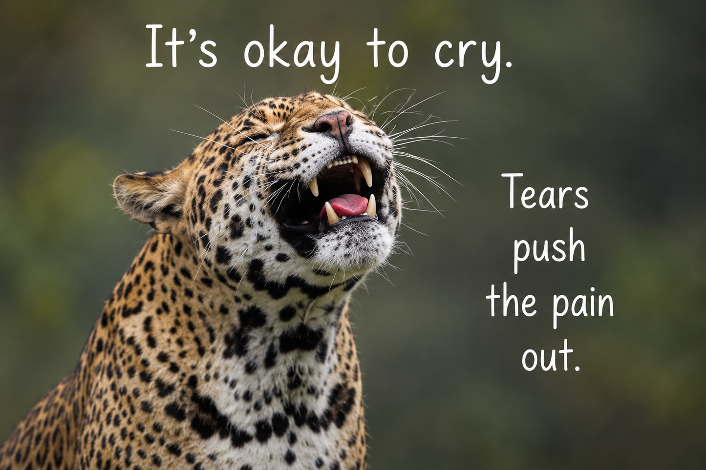 Grief Buddy Cards™ Crying Leopard