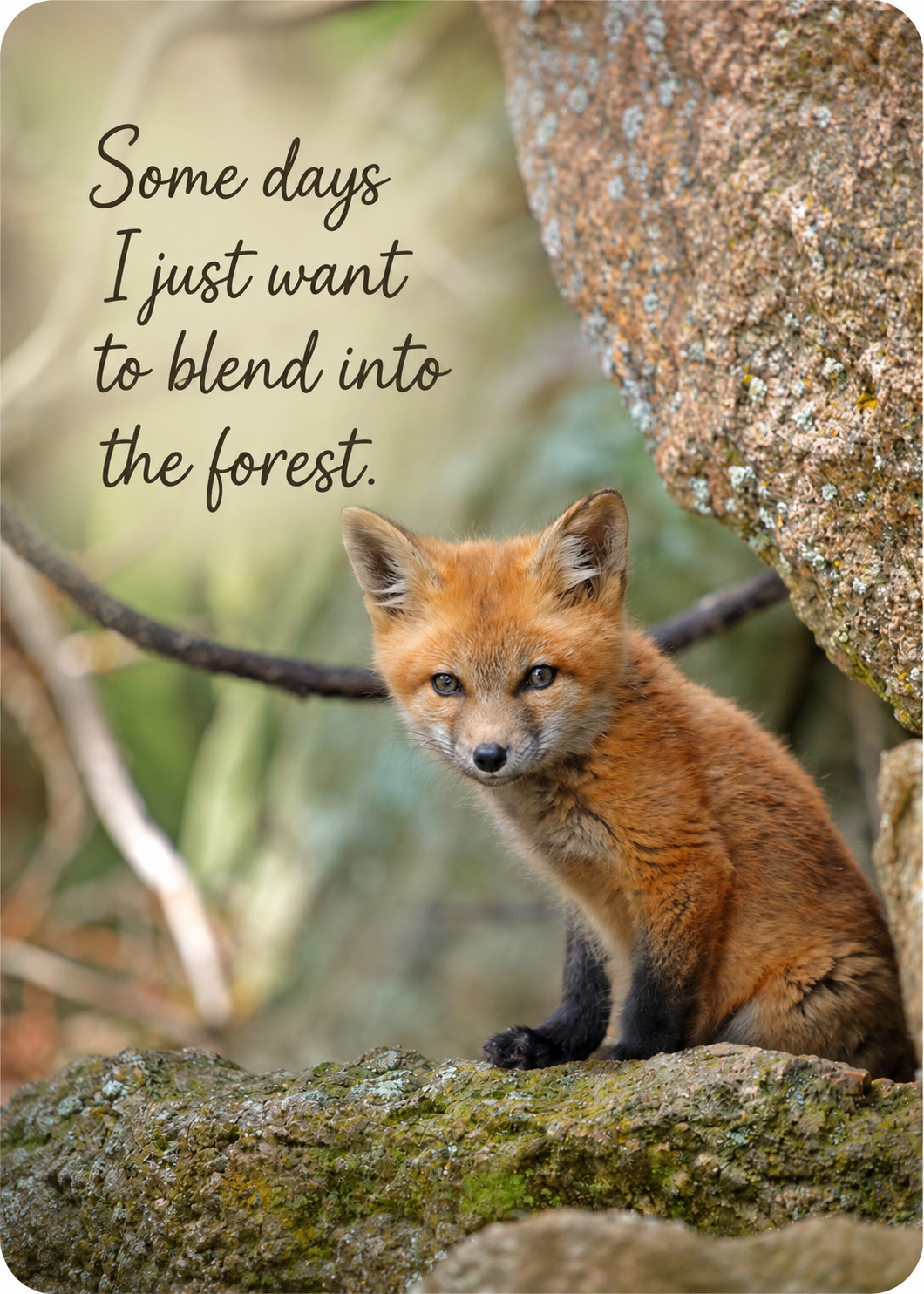 Grief Buddy Cards™ Red Fox