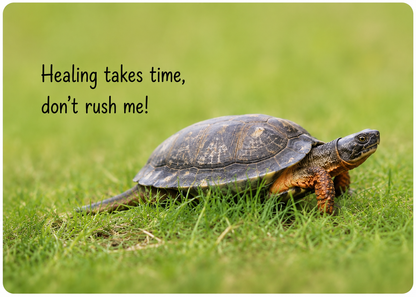 Grief Buddy Cards™ Walking Turtle