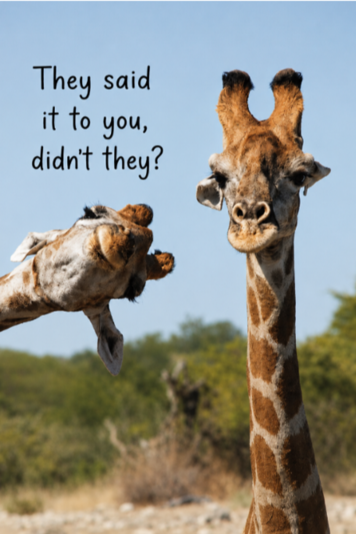 Grief Tuckaways Cards™ Goofy Giraffe