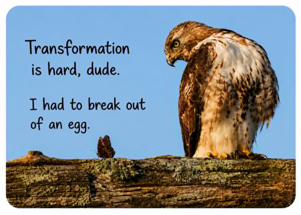 Grief Buddy Cards™ Hawk & Butterfly