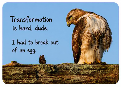 Grief Buddy Cards™ Hawk & Butterfly