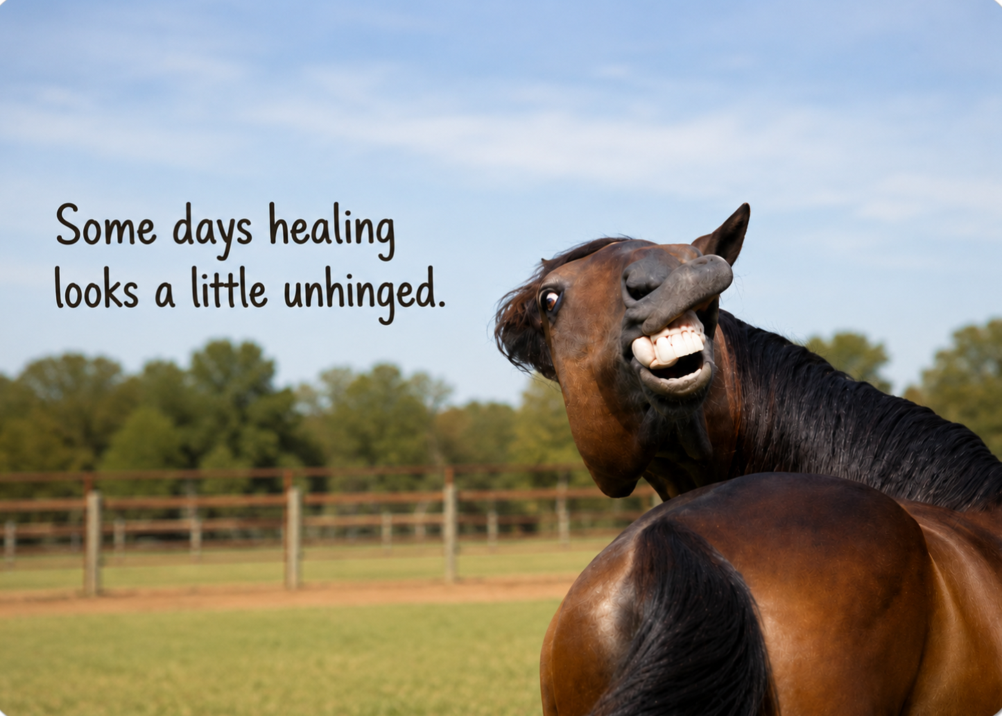 Grief Tuckaways Cards™ Horse