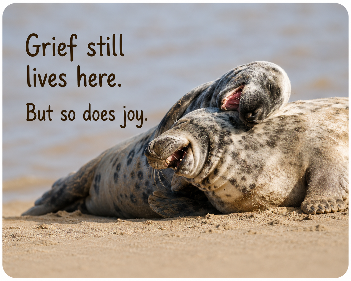 Grief Buddy Cards™ Joyful Seals