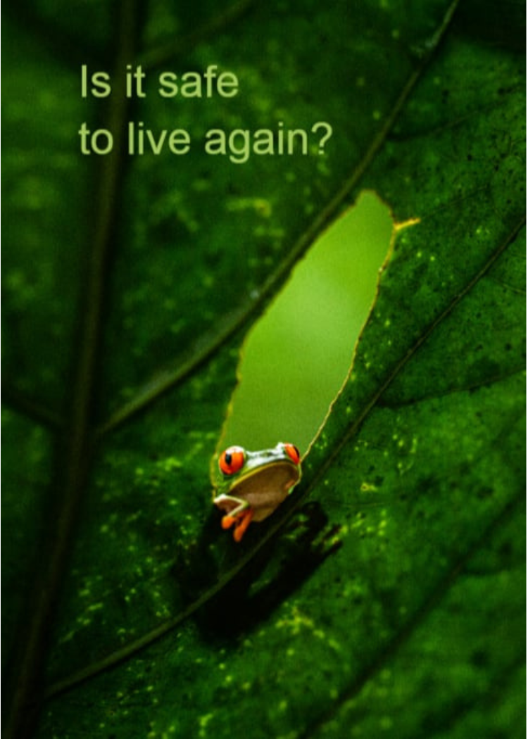 Grief Tuckaways Cards™ Leaf Frog