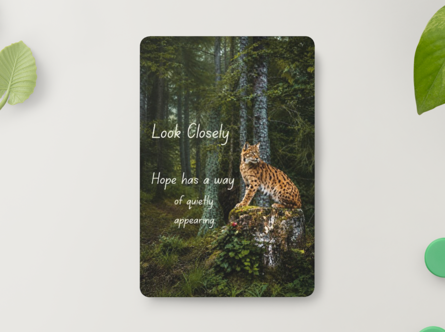 Lynx – Hope Has a Way of Quietly Appearing – Magnet
