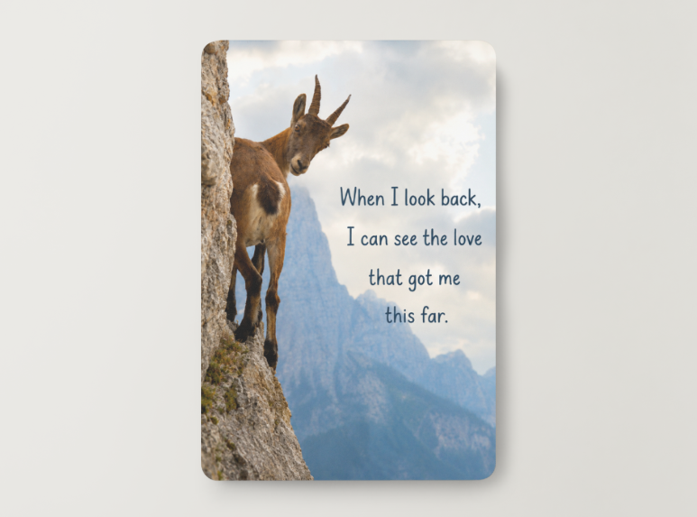 Mountain Goat – The Love That Got Me This Far – Magnet
