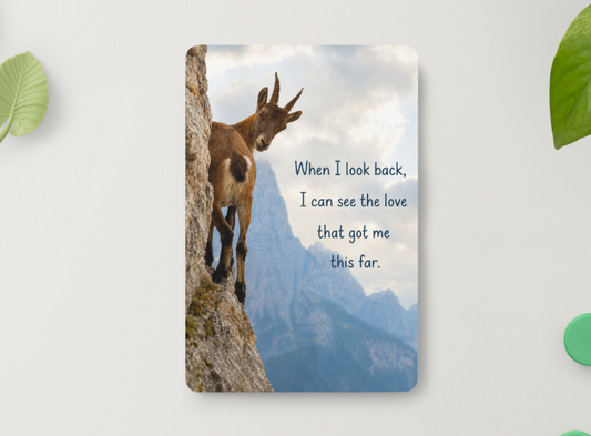 Mountain Goat – The Love That Got Me This Far – Magnet