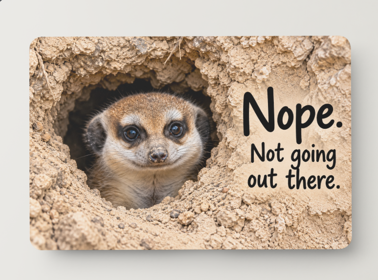 Meerkat – Nope. Not Going Out There – Magnet