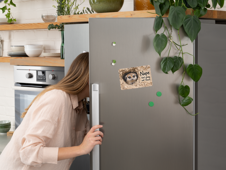 Meerkat – Nope. Not Going Out There – Magnet