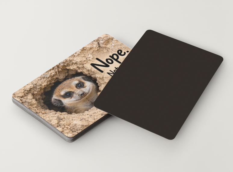 Meerkat – Nope. Not Going Out There – Magnet