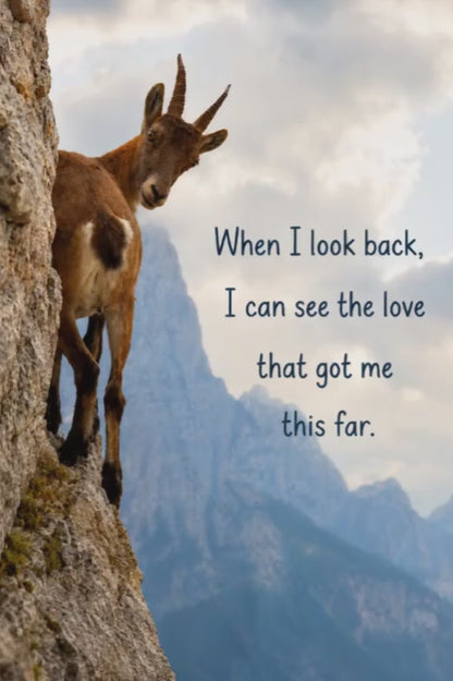 Mountain Goat – The Love That Got Me This Far – Magnet