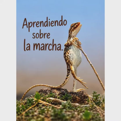 Lagarto bailarín – El duelo es difícil. Baila de todos modos. – Imán