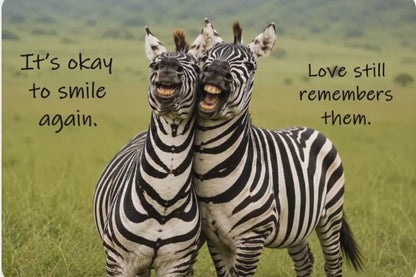 Zebras – It's Okay to Smile Again – Magnet