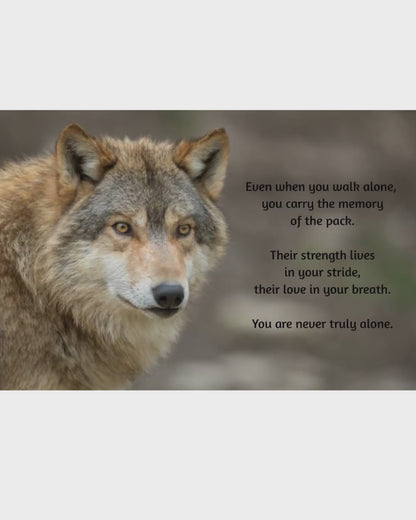 Wolf – You Are Never Truly Alone – Magnet