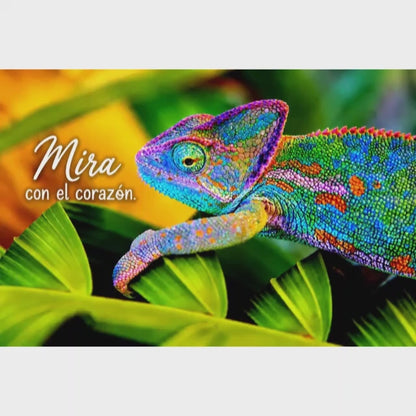 Camaleón – Mira con el corazón – Imán