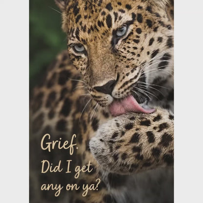 Leopard – Grief. Did I Get Any on Ya? – Magnet