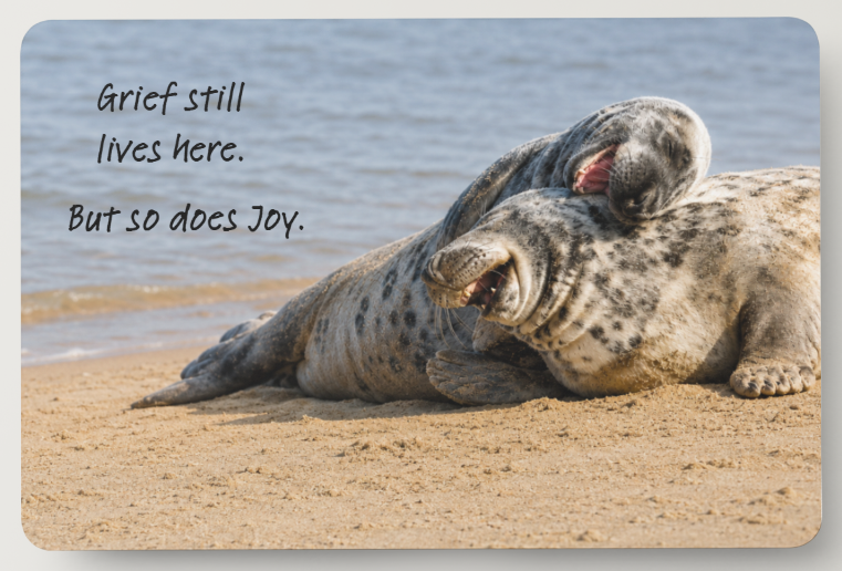 Happy Seals Magnet