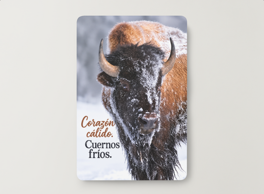 Bisonte – Corazón cálido. Cuernos fríos. – Imán