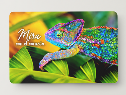 Camaleón – Mira con el corazón – Imán