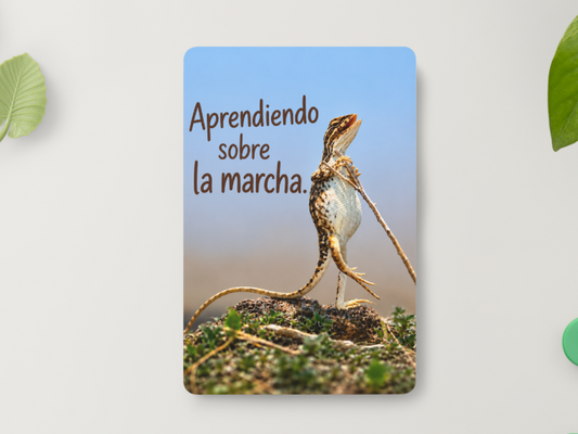 Lagarto bailarín – El duelo es difícil. Baila de todos modos. – Imán
