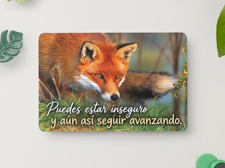 Zorro – Puedes estar inseguro y aun así seguir avanzando – Imán