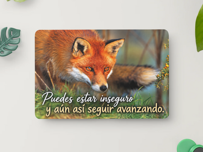Zorro – Puedes estar inseguro y aun así seguir avanzando – Imán