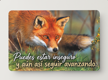 Zorro – Puedes estar inseguro y aun así seguir avanzando – Imán
