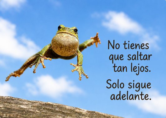 Rana saltarina – No tienes que saltar lejos, solo hacia adelante – Imán