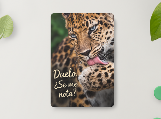 Leopardo – Duelo. ¿Se me nota? – Imán