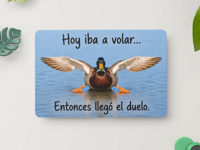Pato caminante – Hoy iba a volar... Entonces llegó el duelo – Imán