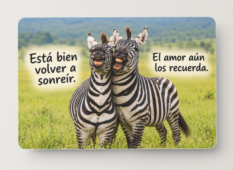 Cebras sonrientes – Está bien volver a sonreír – Imán