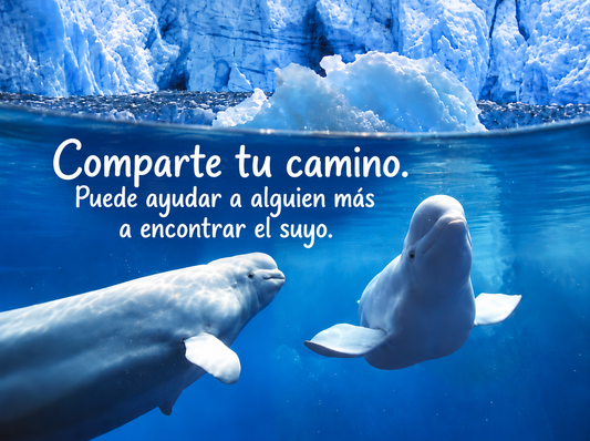 Belugas – Comparte tu camino. Puede ayudar a alguien más a encontrar el suyo – Imán